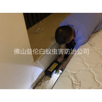 龙江家居白蚁灭治工程