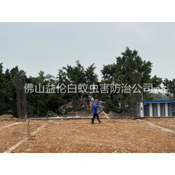 勒流地基新建预防白蚁工程