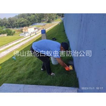 容桂堤坝鼠害防治工程
