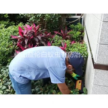 陈村住宅环境灭鼠工程