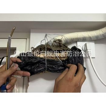 伦教房屋白蚁诱杀工程
