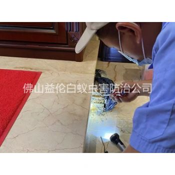 均安装置诱杀箱监测白蚁工程